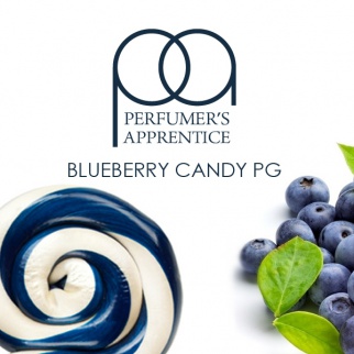 Blueberry Candy PG/Черничный леденец (TPA) фото 8821
